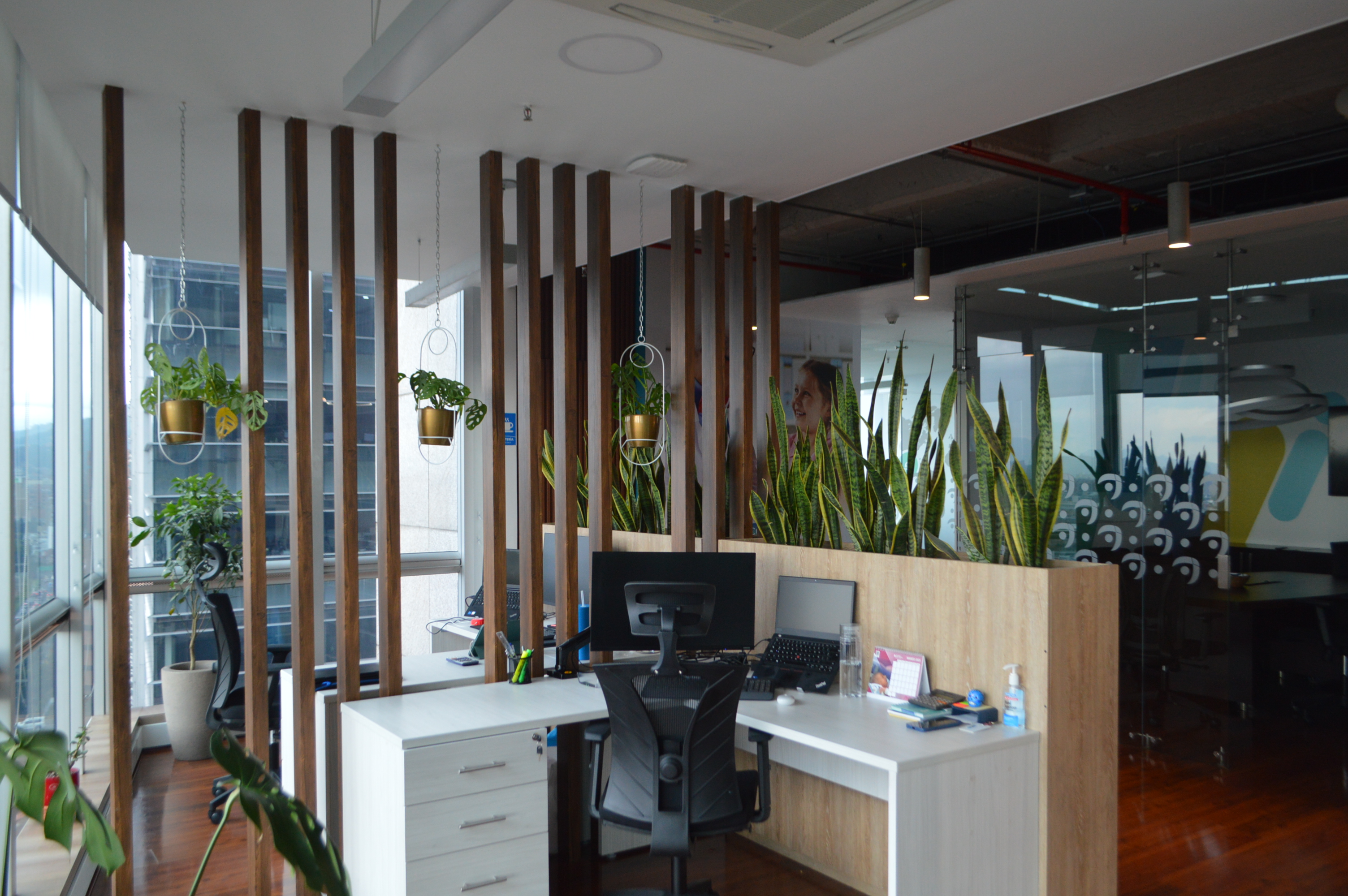 Global Therapeutics - Foto 8