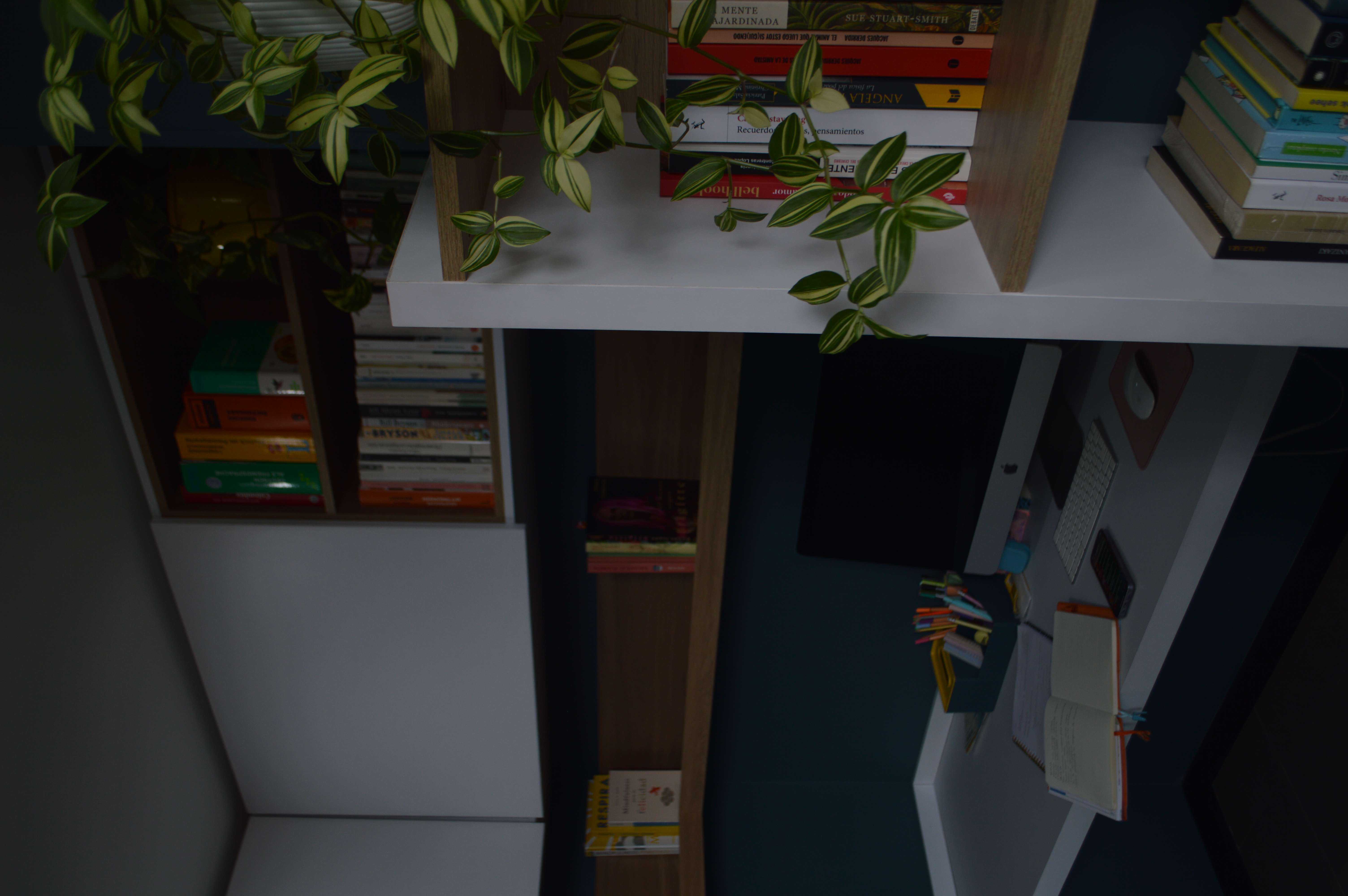 Mueblería - Foto 5